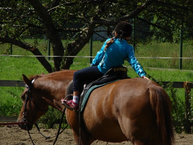 Hubertus 2010